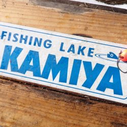 フィッシングレイクたかみや 釣果