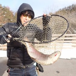 フィッシングレイクたかみや 釣果