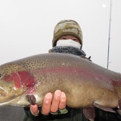 フィッシングレイクたかみや 釣果