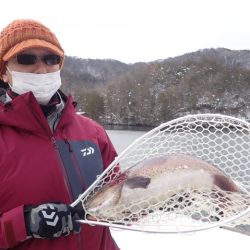 フィッシングレイクたかみや 釣果