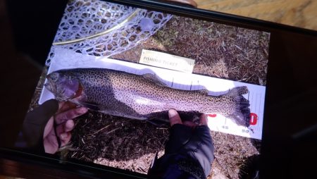 フィッシングレイクたかみや 釣果