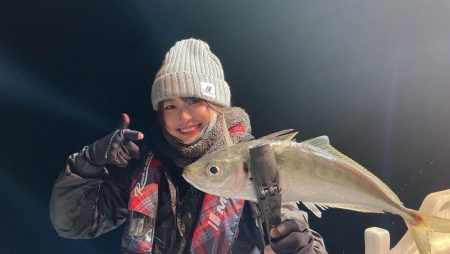 紀伊長島のイカメタルとバチコン