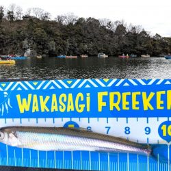 愛知県入鹿池ボート ワカサギ釣り!