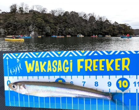 愛知県入鹿池ボート ワカサギ釣り!