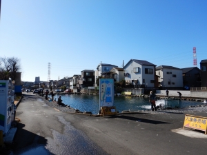 朝霞ガーデン 釣果