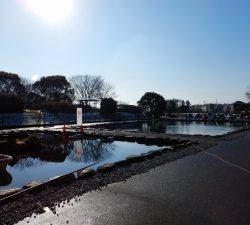 朝霞ガーデン 釣果