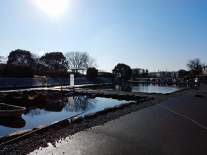 朝霞ガーデン 釣果