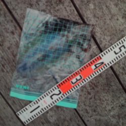 こかわ渡船　雅丸 釣果