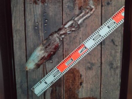 こかわ渡船　雅丸 釣果