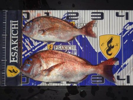 栄丸 釣果