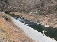 秩父フライフィールド 釣果