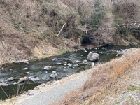 秩父フライフィールド 釣果