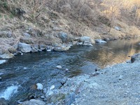 秩父フライフィールド 釣果