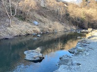 秩父フライフィールド 釣果