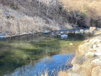 秩父フライフィールド 釣果