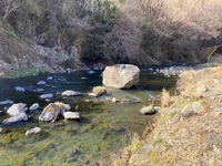 秩父フライフィールド 釣果