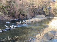 秩父フライフィールド 釣果