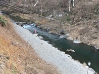 秩父フライフィールド 釣果