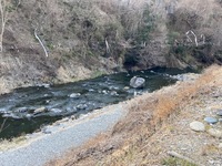 秩父フライフィールド 釣果