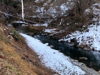 秩父フライフィールド 釣果