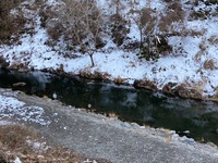 秩父フライフィールド 釣果