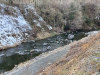 秩父フライフィールド 釣果