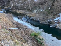 秩父フライフィールド 釣果