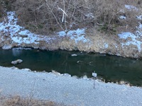 秩父フライフィールド 釣果