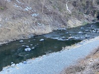 秩父フライフィールド 釣果