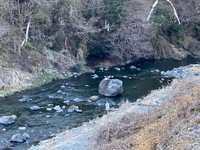 秩父フライフィールド 釣果