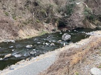 秩父フライフィールド 釣果