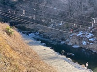 秩父フライフィールド 釣果