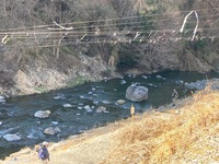 秩父フライフィールド 釣果