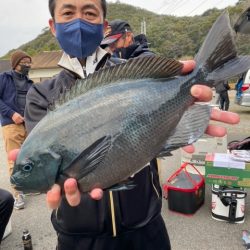 千津丸 釣果