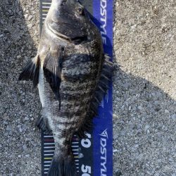 イチノ兄弟、釣果!