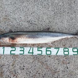 メーターオーバー