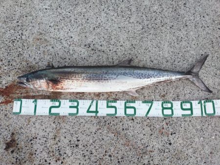 メーターオーバー