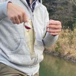 シーズン開幕！