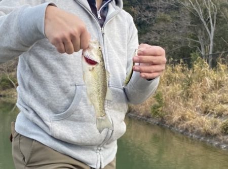 シーズン開幕！