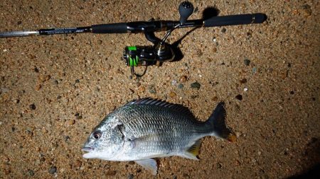 芦屋浜ナイトゲームでキビレ