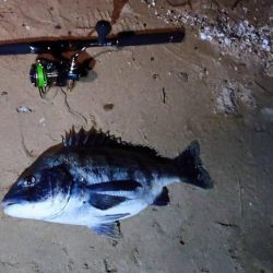 雨の前に芦屋浜でチヌ