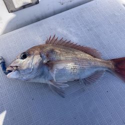 久しぶりの船釣り