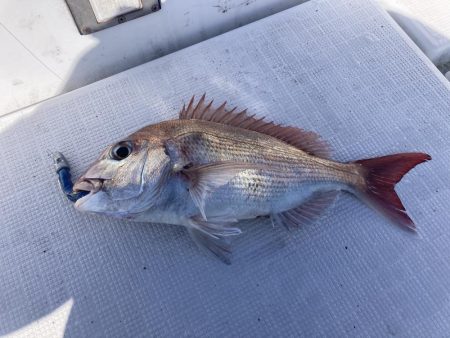 久しぶりの船釣り