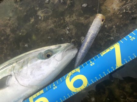 今日もトップで