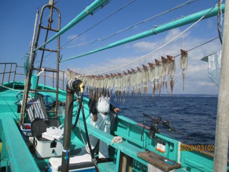 スルメイカ45杯 ヤリイカも
