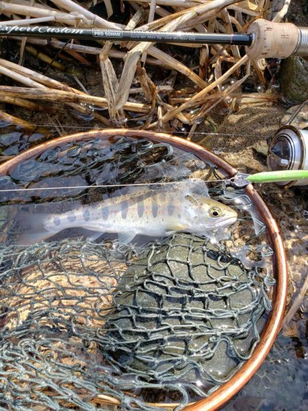 ダウンでしか食わせられなかった