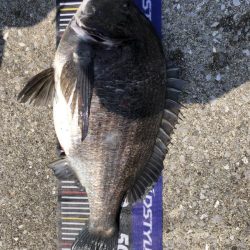 イチノ兄弟、釣果!