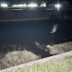 会社の近くの川で