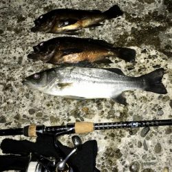 フロートメバリング