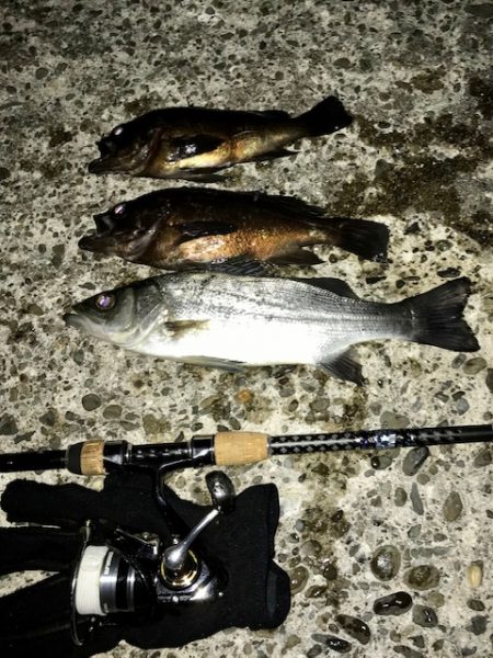 フロートメバリング